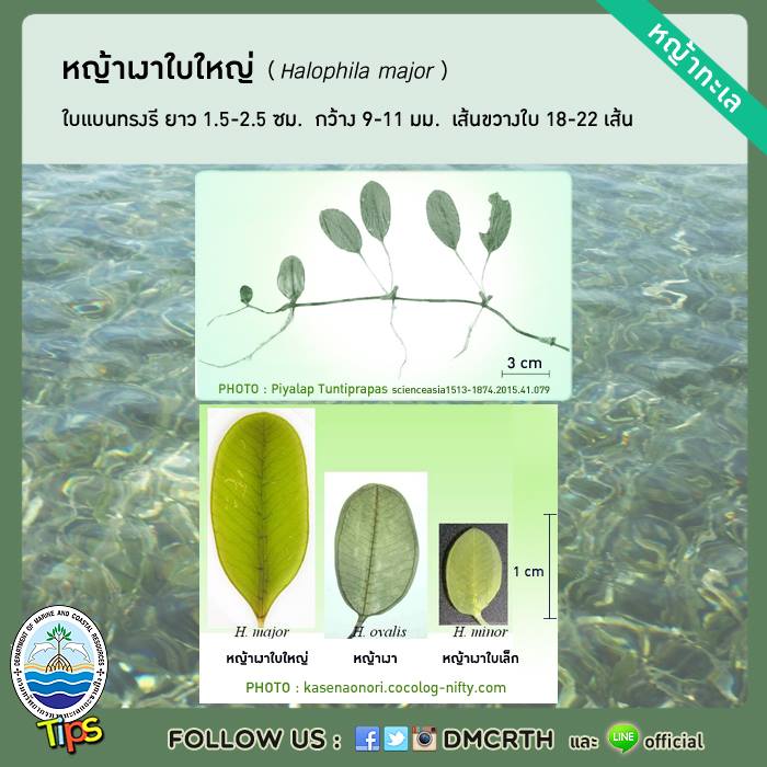 เกร็ดความรู้ ทช.