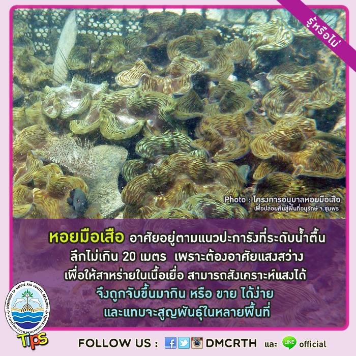 เกร็ดความรู้ ทช.