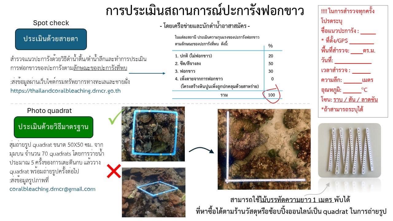 เนื่องจากสถานการณ์ปะการังฟอกขาวในปัจจุบันกำลังเข้าขั้นวิกฤติ ‼️ ดังนั้นกรมทรัพยากรทางทะเลและชายฝั่งจึงเร่งสำรวจปะการัง และมีความจำเป็นในการรวบรวมข้อมูลสำคัญที่ชัดเจนเกี่ยวกับปะการังในแต่ละพื้นที่