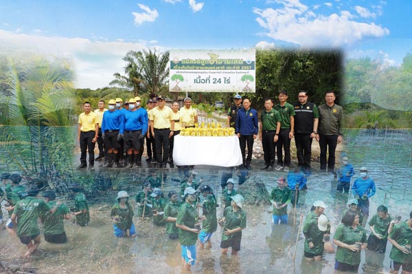 รมว.ทส. นำทีมปลูกป่าชายเลน ร่วมใจภักดิ์ รักษ์สิ่งแวดล้อม เฉลิมพระเกียรติพระบาทสมเด็จพระเจ้าอยู่หัว 6 รอบ 28 กรกฎาคม 2567