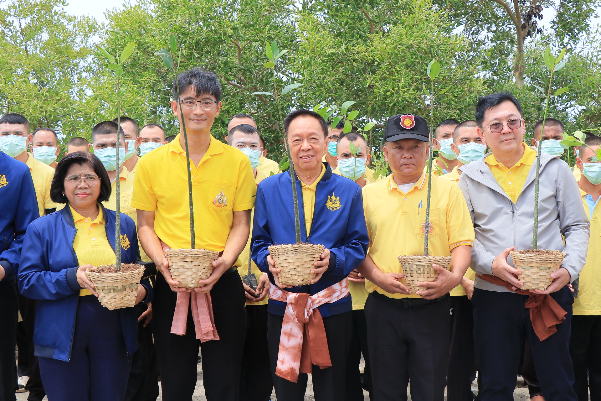 "พัชรวาท" ลงพื้นที่ติดตามโครงการปักไม้ไผ่ชะลอคลื่น ชูความสำเร็จป้องกันพื้นที่ป่าชายเลนเพชรบุรี