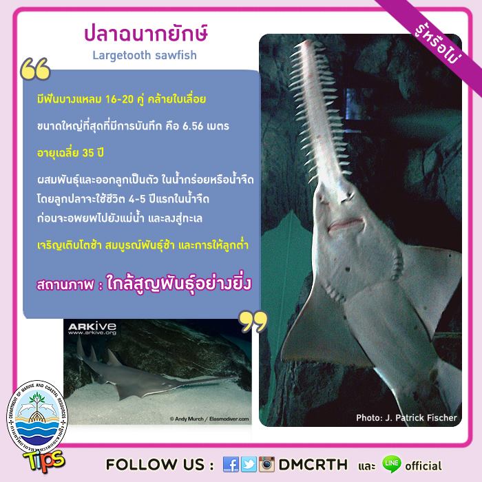 เกร็ดความรู้ ทช.