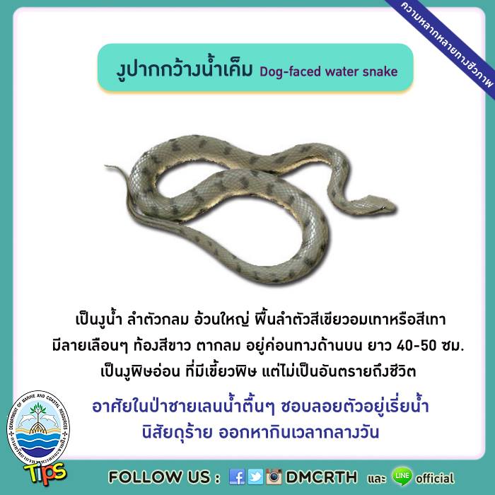 เกร็ดความรู้ ทช.