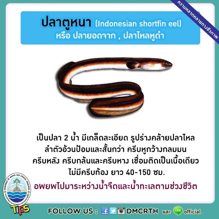 เกร็ดความรู้ ทช.