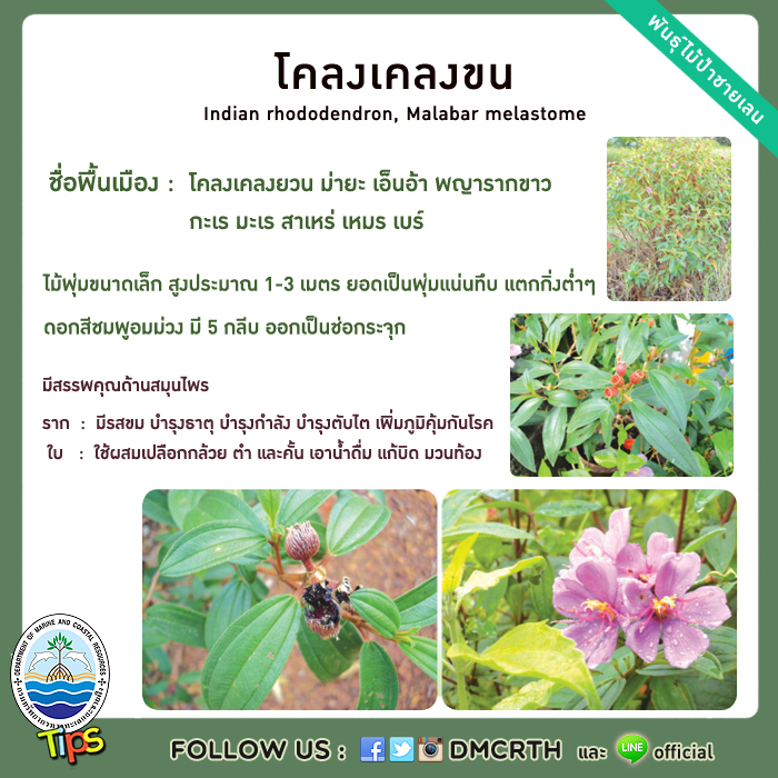 เกร็ดความรู้ ทช.