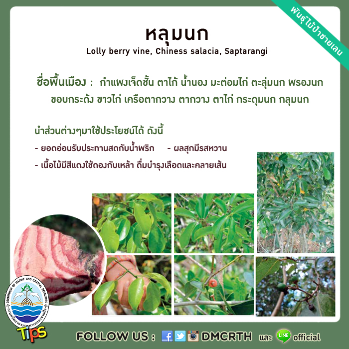 เกร็ดความรู้ ทช.