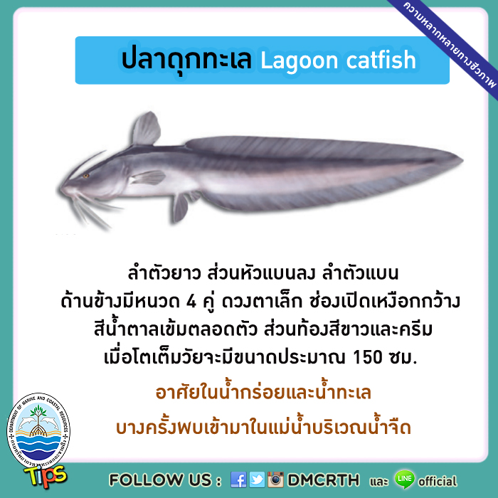 เกร็ดความรู้ ทช.