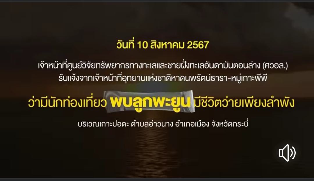 กรมทะเลดูแลลูกพะยูนเกยตื้น ตลอด  24 ชั่วโมง ล่าสุดอาการดีขึ้นว่ายน้ำร่าเริง