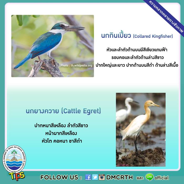 เกร็ดความรู้ ทช.