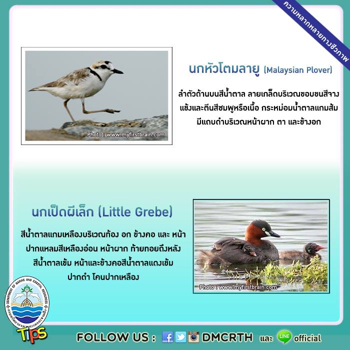 เกร็ดความรู้ ทช.