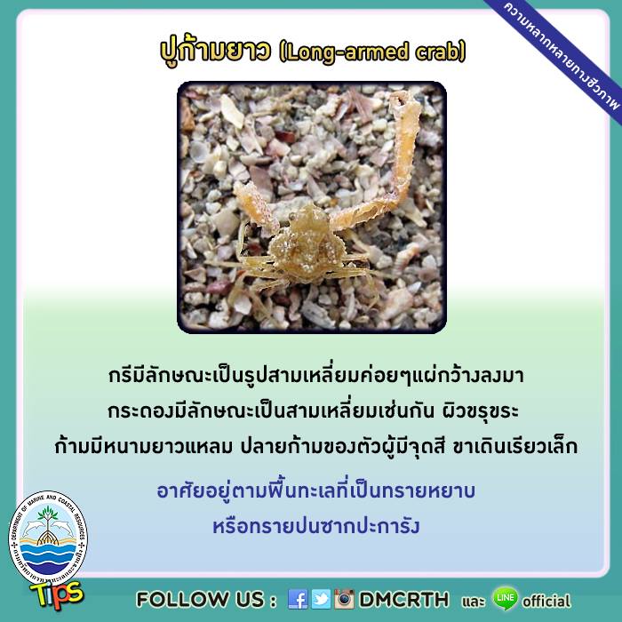 เกร็ดความรู้ ทช.