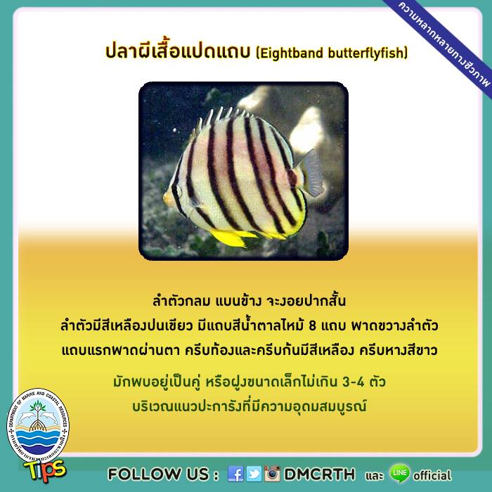 เกร็ดความรู้ ทช.
