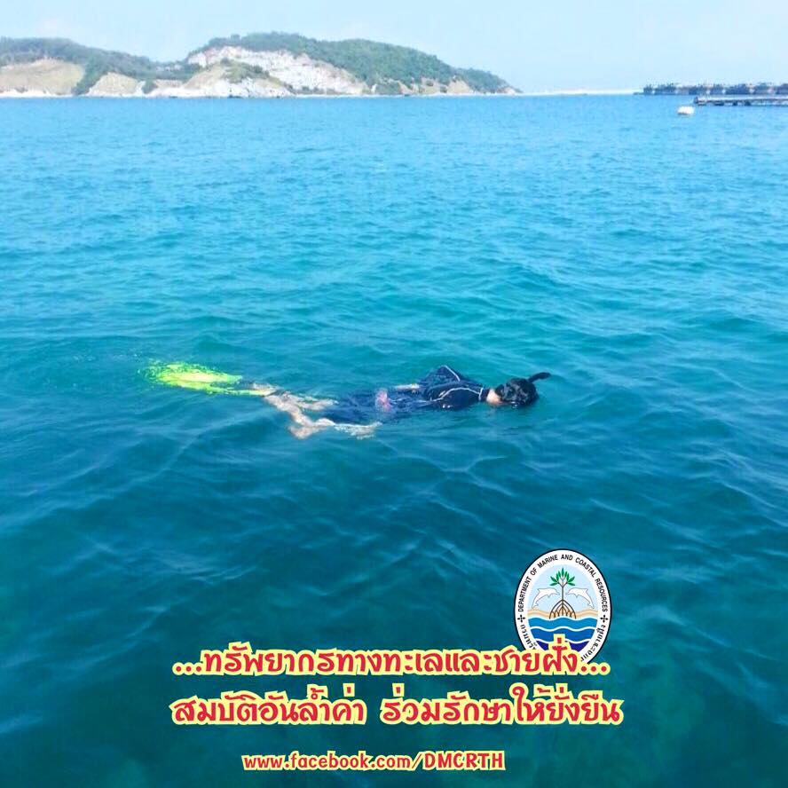 สวัสดี พี่น้องเครือข่ายรักษ์ทะเลไทย