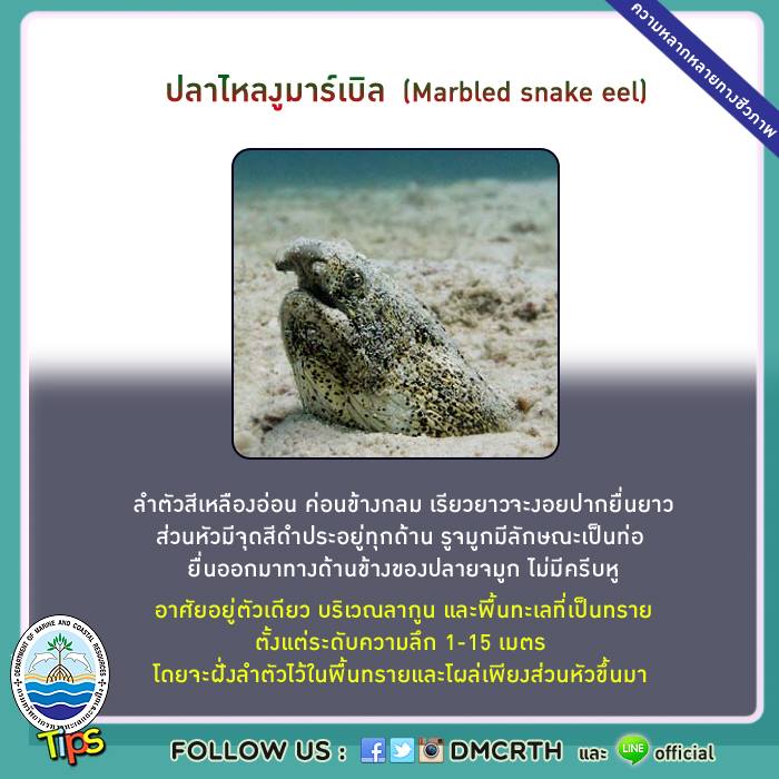 เกร็ดความรู้ ทช.