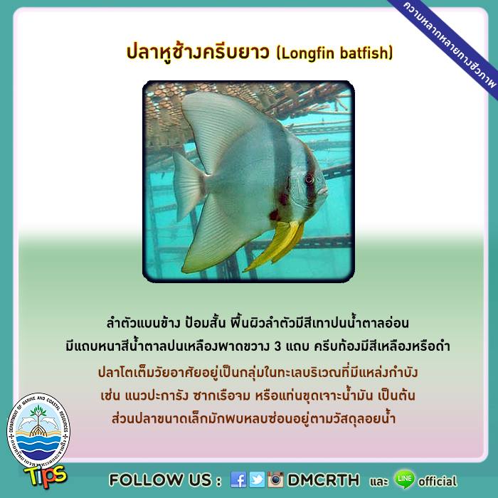 เกร็ดความรู้ ทช.