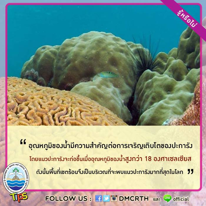 เกร็ดความรู้ ทช.
