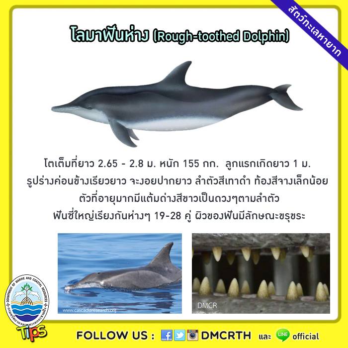 เกร็ดความรู้ ทช.