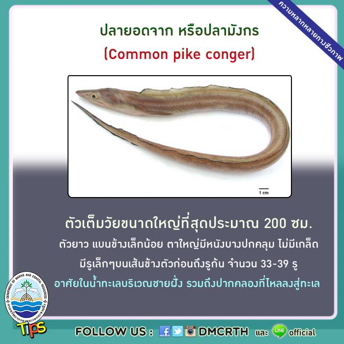 เกร็ดความรู้ ทช.