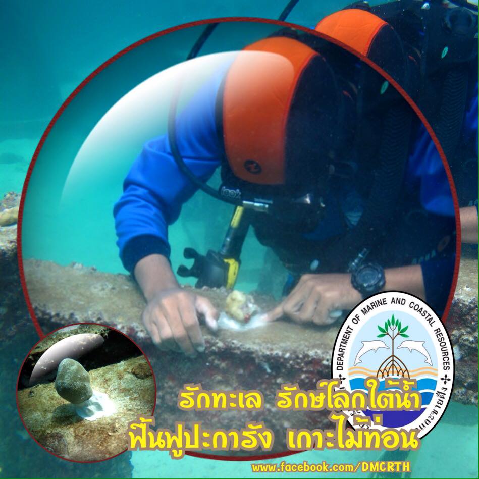 สวัสดี พี่น้องเครือข่ายรักษ์ทะเลไทย