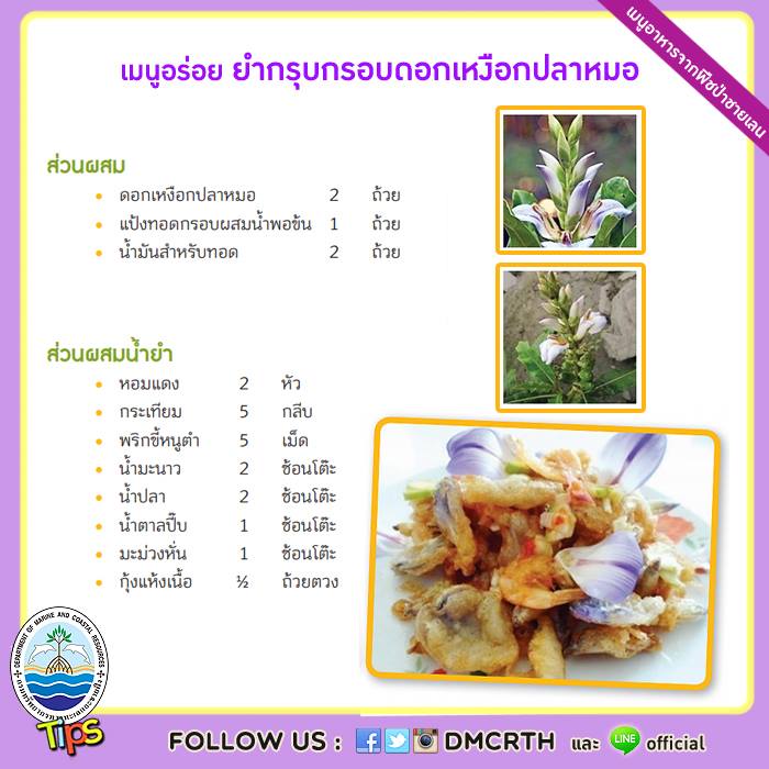 เกร็ดความรู้ ทช.