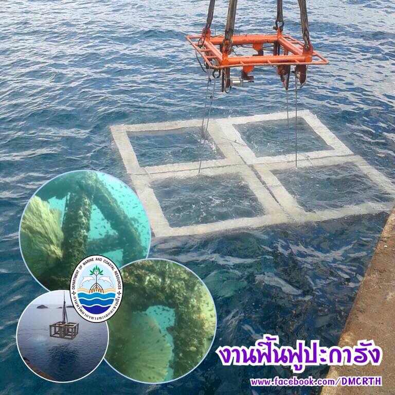 สวัสดี พี่น้องเครือข่ายรักษ์ทะเลไทย