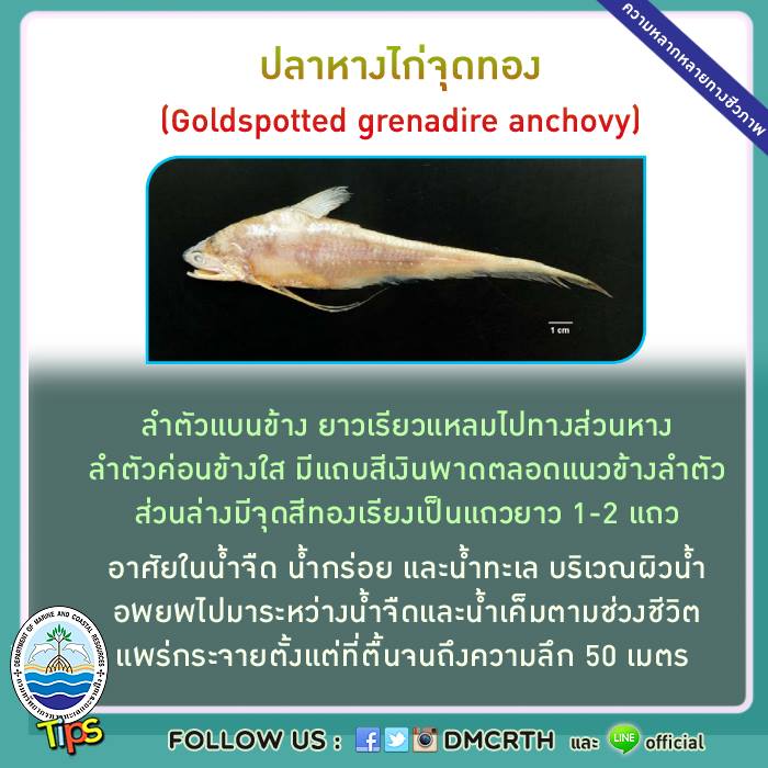 เกร็ดความรู้ ทช.