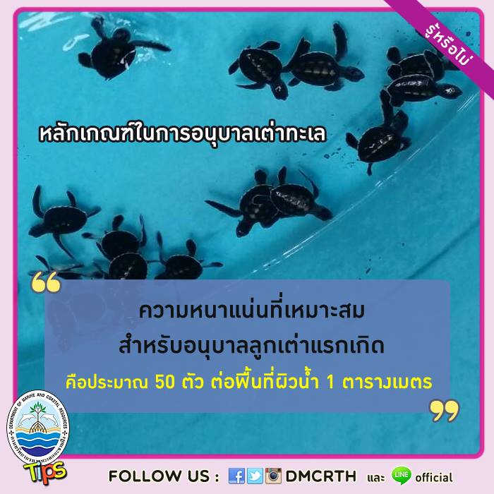 เกร็ดความรู้ ทช.
