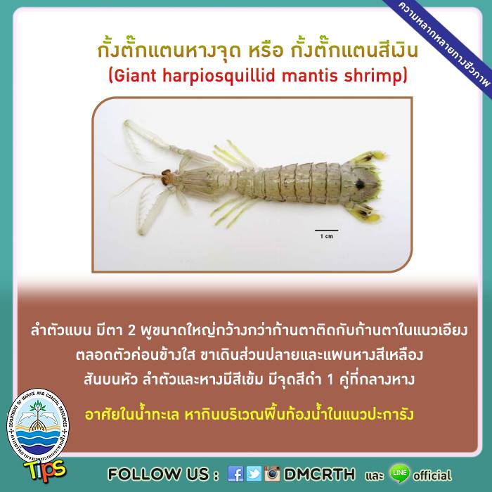 เกร็ดความรู้ ทช.
