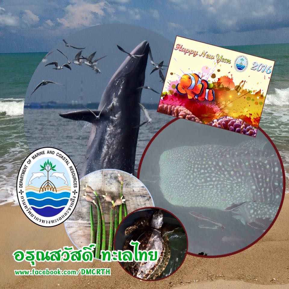 สวัสดี พี่น้องเครือข่ายรักษ์ทะเลไทย
