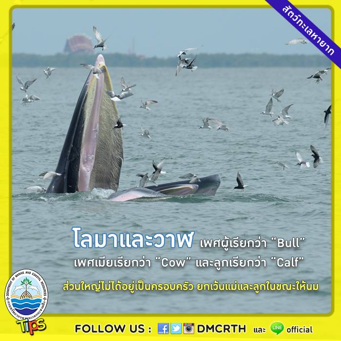 เกร็ดความรู้ ทช.