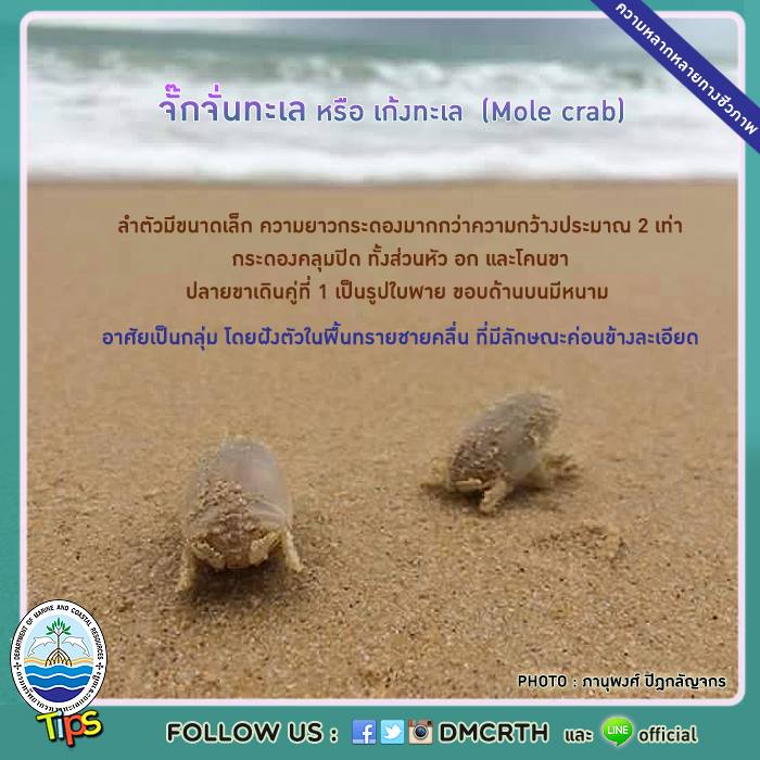 เกร็ดความรู้ ทช.