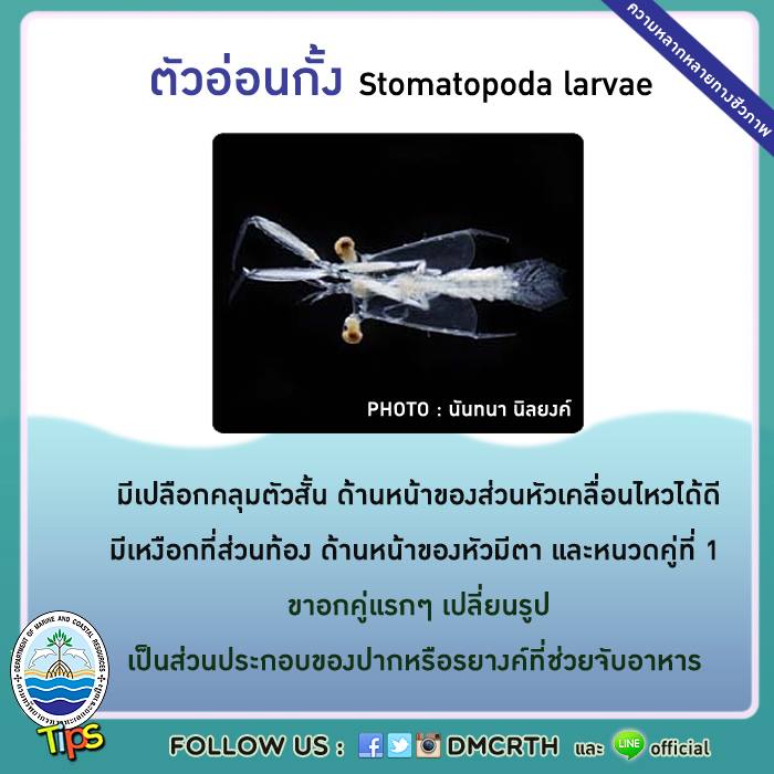 เกร็ดความรู้ ทช.
