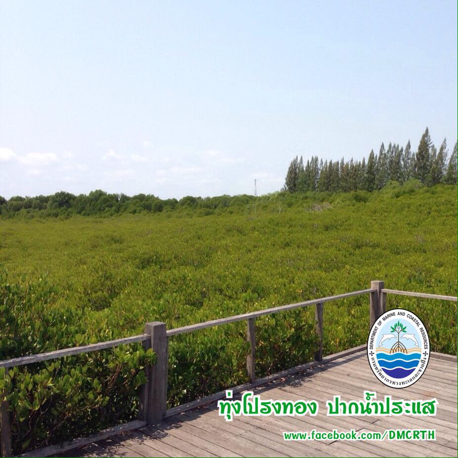 สวัสดี พี่น้องเครือข่ายรักษ์ทะเลไทย
