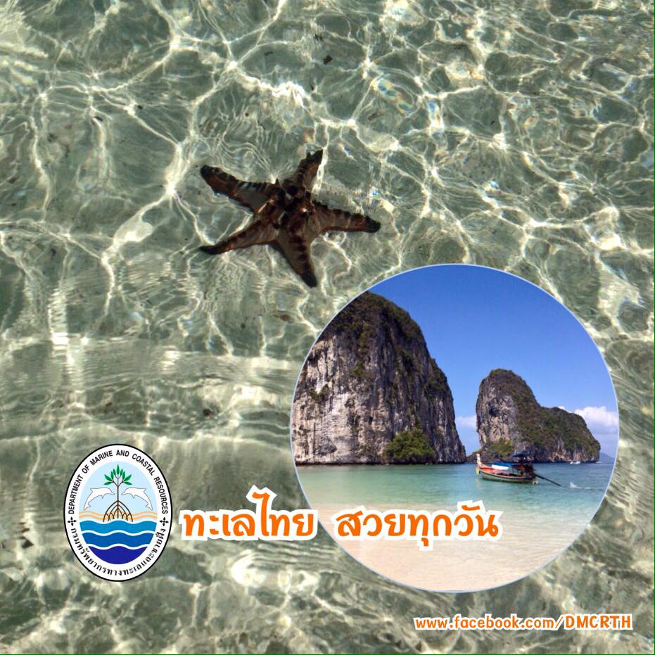สวัสดี พี่น้องเครือข่ายรักษ์ทะเลไทย