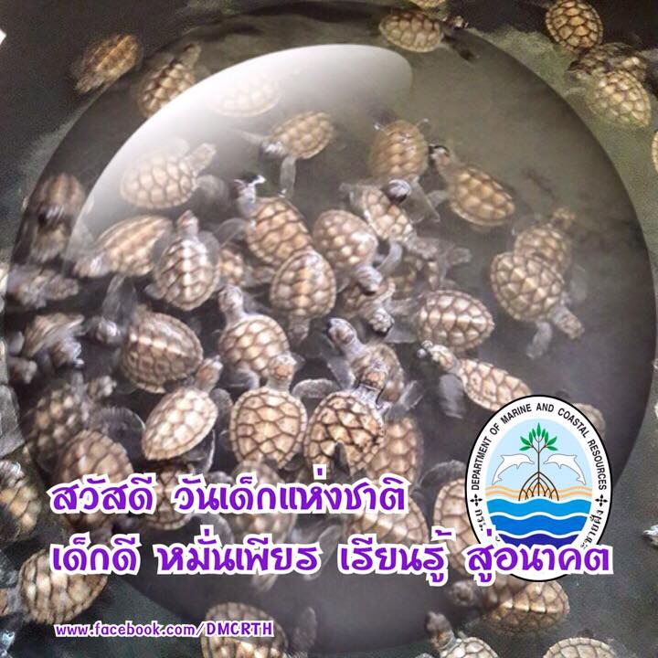 สวัสดี พี่น้องเครือข่ายรักษ์ทะเลไทย