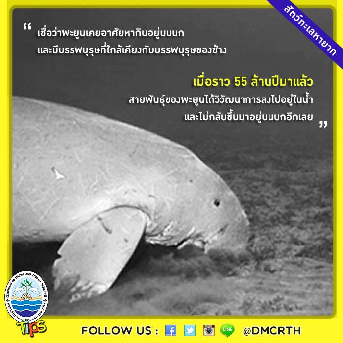 เกร็ดความรู้ ทช.