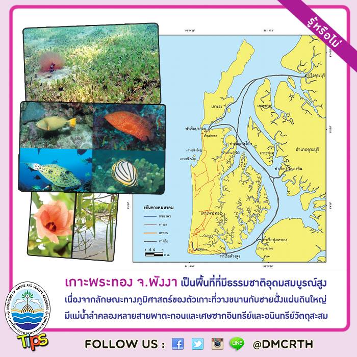 เกร็ดความรู้ ทช.