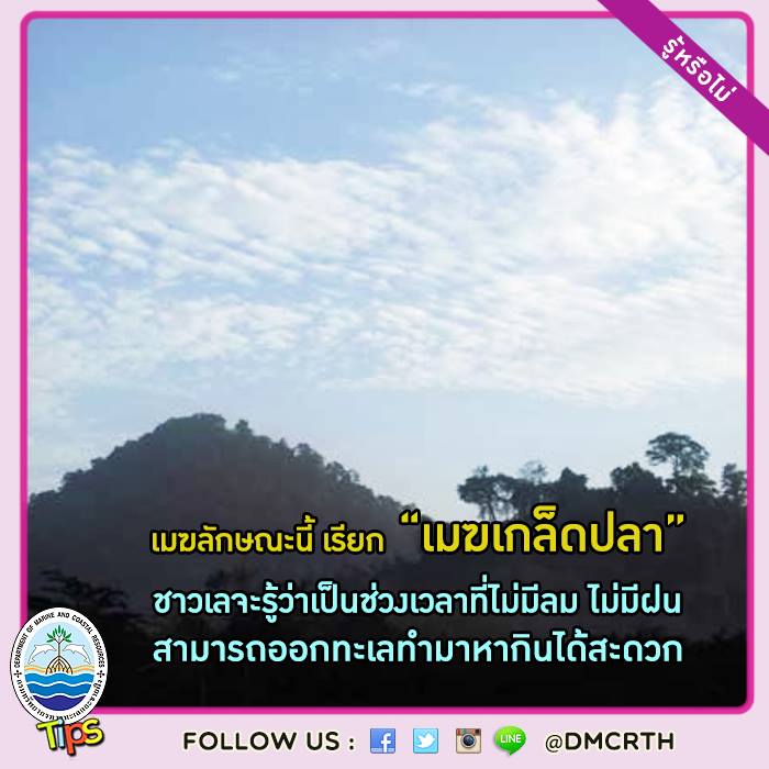 เกร็ดความรู้ ทช.