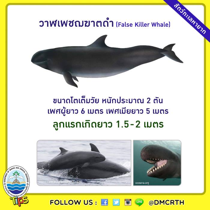 เกร็ดความรู้ ทช.