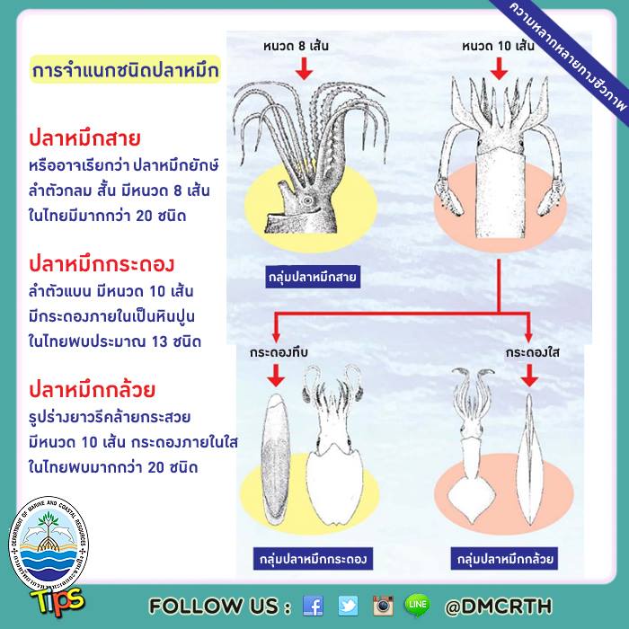 เกร็ดความรู้ ทช.