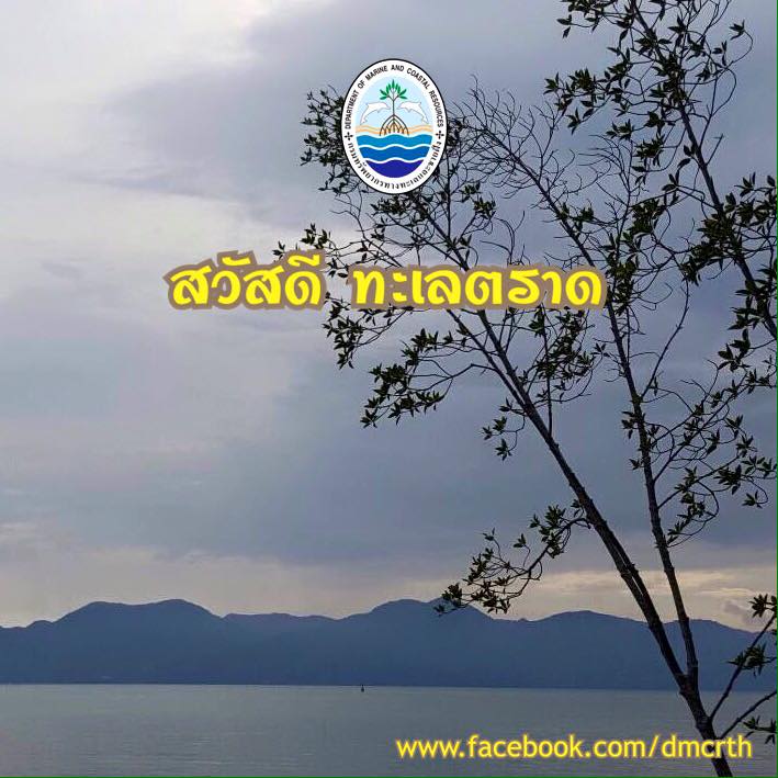 สวัสดี พี่น้องเครือข่ายรักษ์ทะเลไทย
