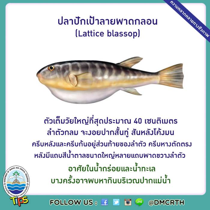 เกร็ดความรู้ ทช.