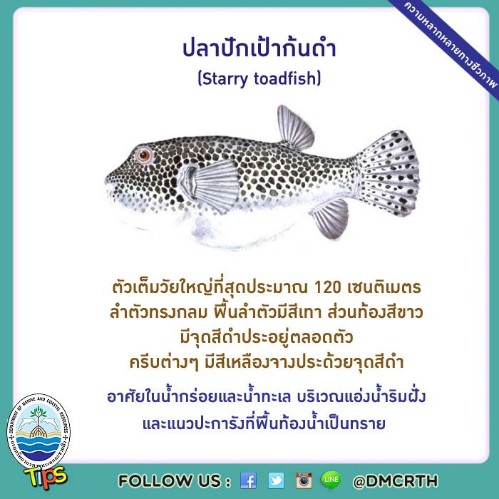 เกร็ดความรู้ ทช.