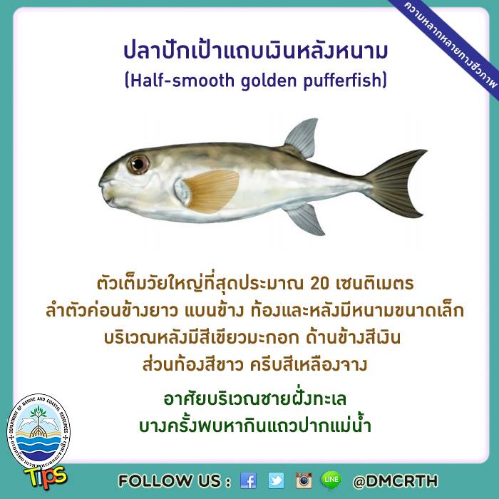 เกร็ดความรู้ ทช.