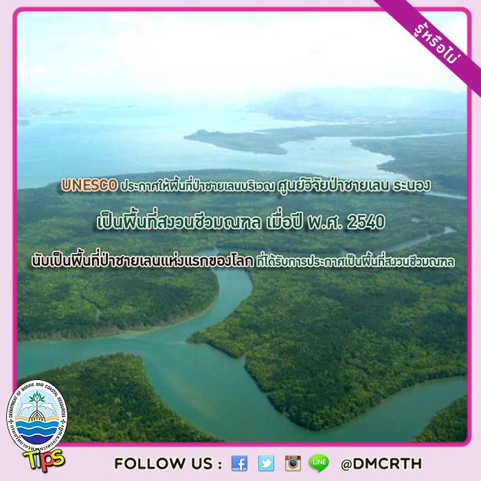 เกร็ดความรู้ทช.