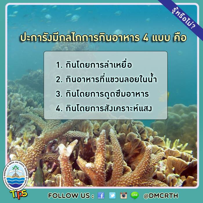 เกร็ดความรู้ ทช.