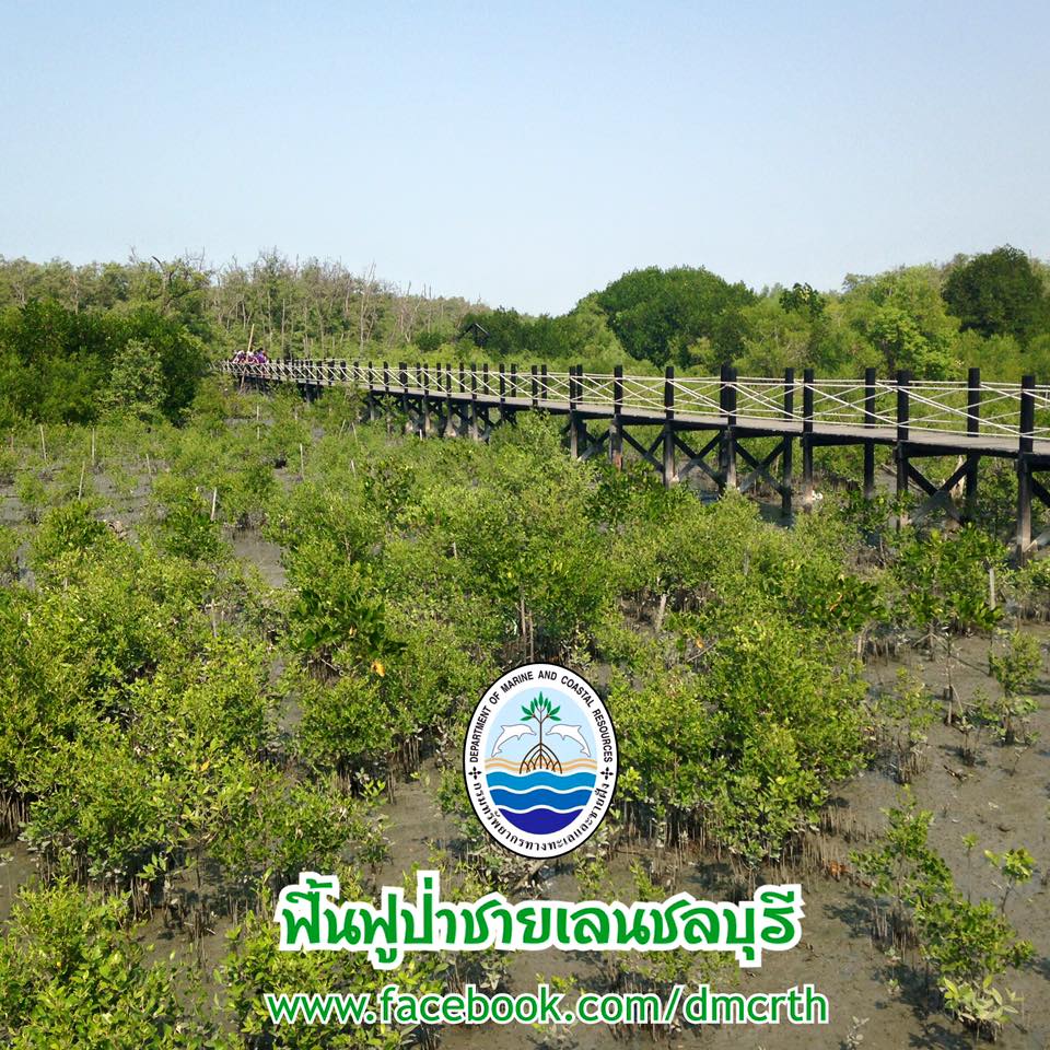 สวัสดี พี่น้องเครือข่ายรักษ์ทะเลไทย