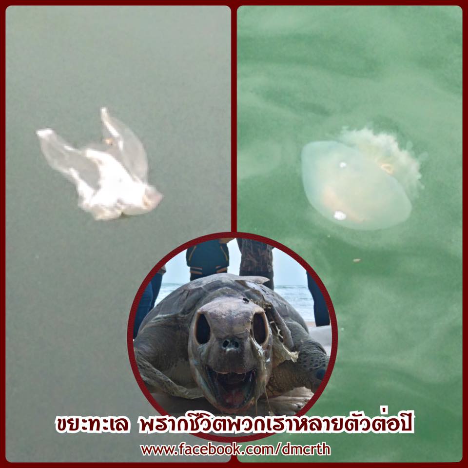 ใครผิด