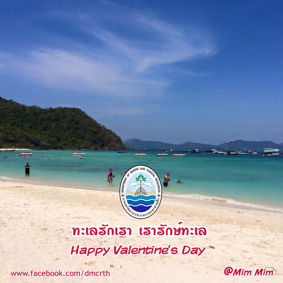 สวัสดี พี่น้องเครือข่ายรักษ์ทะเลไทย