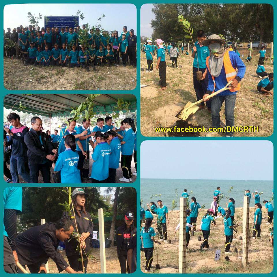 ทช.นำเยาวชนระยอง ปลูกป่ารักษ์ป่าชายหาดทะเลบ้านเกิด
